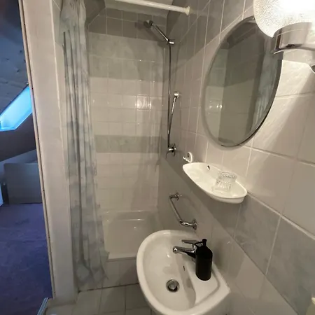Il Tempio Del Gusto Hotell Oelsnitz (Erzgebirge)